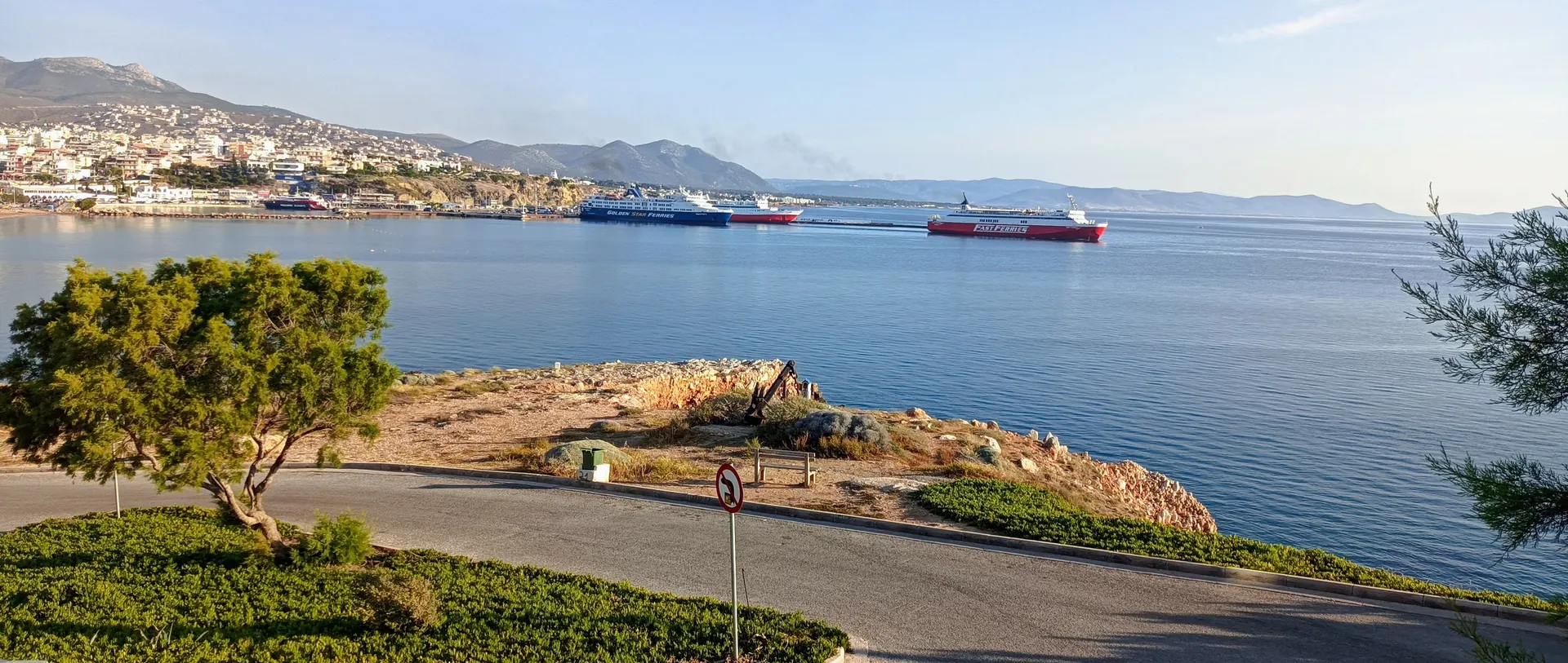 Rafina bay from the headland — ferries at the port below the hillside town, framed by an olive tree and the Aegean beyond